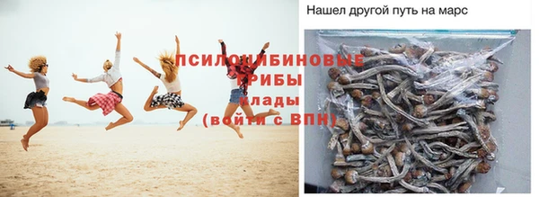 молекула духа Пестово