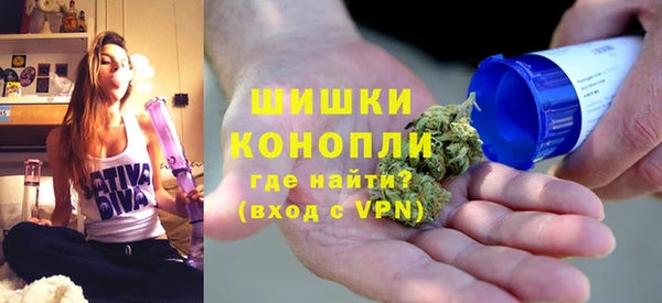 a pvp Пересвет