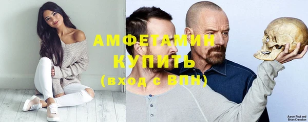молекула духа Пестово