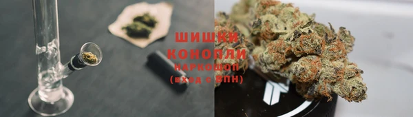 ALPHA PVP Осинники