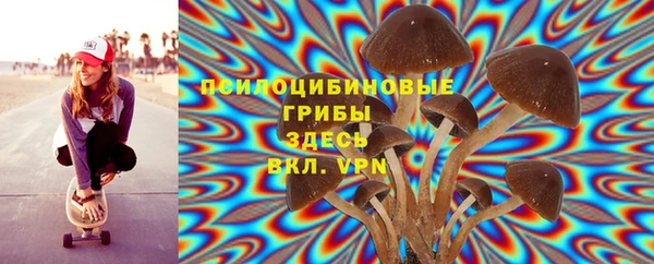 COCAINE Переславль-Залесский