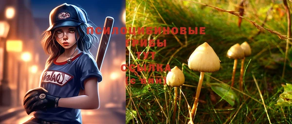 молекула духа Пестово