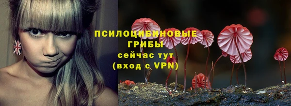 трава Беслан