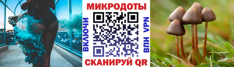 Псилоцибиновые грибы прущие грибы  цена   Сычёвка 